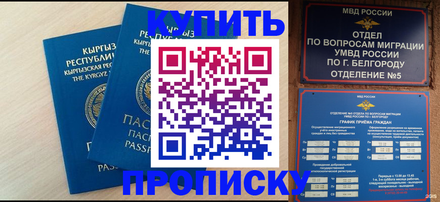 пропишу в квартире в Тольятти